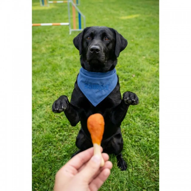 Zampa Ördek Etli But Köpek Ödülü 75 Gr