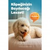 Zampa Ördek Etli But Köpek Ödülü 75 Gr