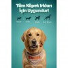 Zampa Ördek Etli Dambıl Köpek Ödülü 75 Gr
