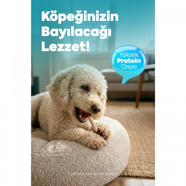 Zampa Ördek Etli Dambıl Köpek Ödülü 75 Gr