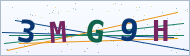 Petedor güvenlik doğrulaması