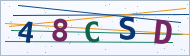 Petedor güvenlik doğrulaması