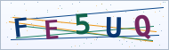 Petedor güvenlik doğrulaması