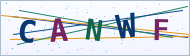 Petedor güvenlik doğrulaması