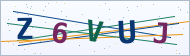 Petedor güvenlik doğrulaması