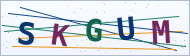 Petedor güvenlik doğrulaması