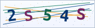 Petedor güvenlik doğrulaması