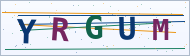 Petedor güvenlik doğrulaması