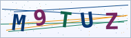 Petedor güvenlik doğrulaması