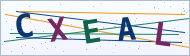 Petedor güvenlik doğrulaması