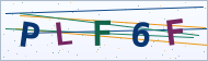 Petedor güvenlik doğrulaması