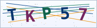 Petedor güvenlik doğrulaması
