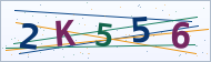Petedor güvenlik doğrulaması