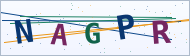 Petedor güvenlik doğrulaması