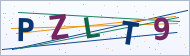 Petedor güvenlik doğrulaması