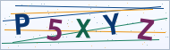 Petedor güvenlik doğrulaması