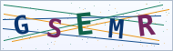 Petedor güvenlik doğrulaması