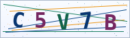 Petedor güvenlik doğrulaması