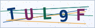 Petedor güvenlik doğrulaması