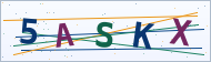 Petedor güvenlik doğrulaması