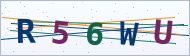 Petedor güvenlik doğrulaması