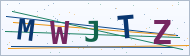 Petedor güvenlik doğrulaması