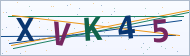Doğrulama Kodu