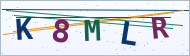 Petedor güvenlik doğrulaması