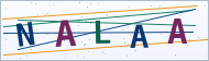 Petedor güvenlik doğrulaması