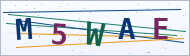 Petedor güvenlik doğrulaması